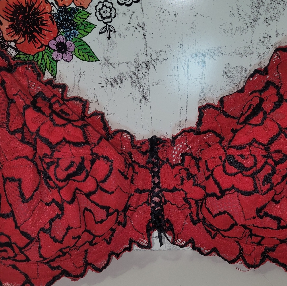 40DD red lace, Addition elle underwire bra
